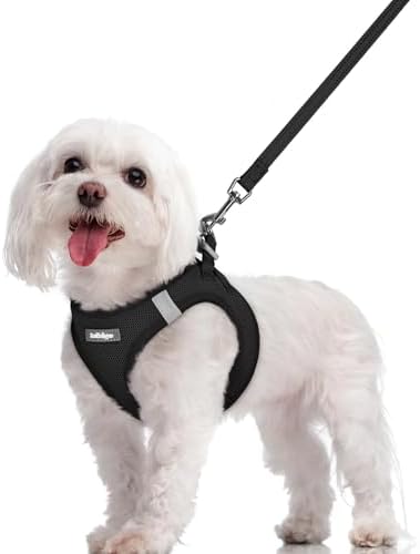 rabbitgoo Dog Harness Medium Sized and Leash Set, Step-in Puppy Pet Vest by rabbitgoo