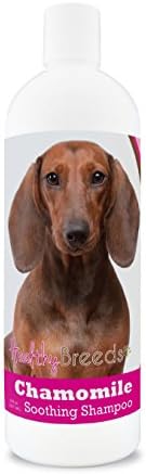 Healthy Breeds Dachshund Chamomile Soothing Dog Shampoo 8 oz by HealthyBreeds