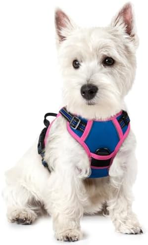 rabbitgoo Dog Harness, No Pull for Small Dogs with 2 Leash Clips, Pet Vest by rabbitgoo