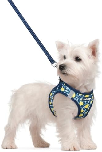 rabbitgoo Dog Harness Small Sized and Leash Set, Step-in Puppy Pet Vest by rabbitgoo