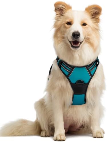 rabbitgoo Dog Harness, No Pull Medium Sized with 2 Leash Clips, Pet Vest by rabbitgoo