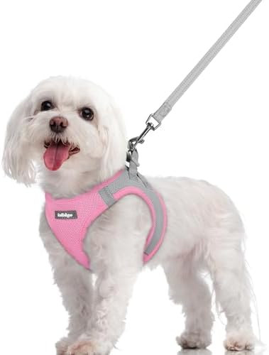 rabbitgoo Dog Harness Medium Sized and Leash Set, Step-in Puppy Pet Vest by rabbitgoo