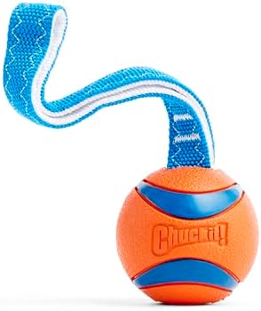 Chuckit! Ultra Tug Dog Toy, Durable Nylon Cord Handle, Large 3-in by Chuckit