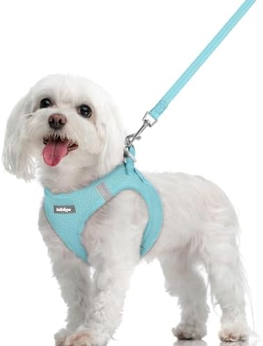rabbitgoo Dog Harness Medium Sized and Leash Set, Step-in Puppy Pet Vest by rabbitgoo