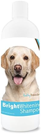 Healthy Breeds Labrador Retriever Bright Whitening Shampoo 12 oz by HealthyBreeds