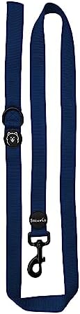 ShawnCo Dream Walk Dog Leash (Pacific Blue,Medium/Large) by SHAWNCO