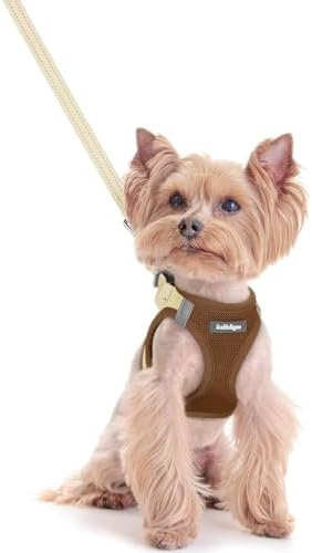 rabbitgoo Dog Harness Small Sized and Leash Set, Step-in Puppy Pet Vest by rabbitgoo