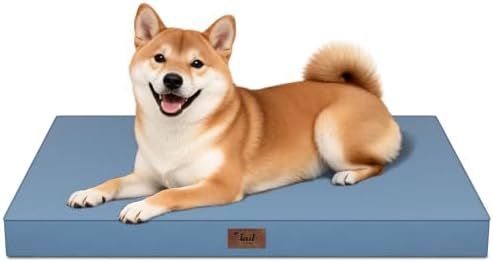 Outdoor Waterproof Orthopedic Dog Bed for Medium Size Dogs by TailStories