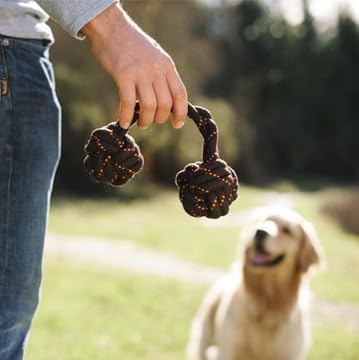 P.L.A.Y. Cute Outdoor Dog Toys - Scout & About Barbell Rope Chew Toy, Great for Puppies & Small, Medium, Large Dogs - Machine Washable, Ultra-Durable, Good for Agility Training, Tugging, Fetch (Small)