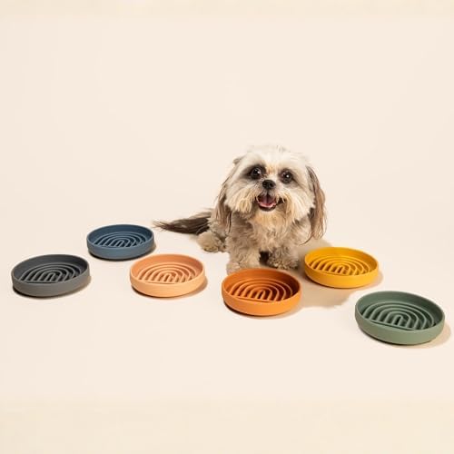 Slow Feeder Dog Bowl - Silicone Dog Bowl, Small, 6" x 1.25" - Honey - Image 6