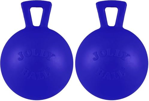 Jolly Pets Tug-n-Toss Heavy Duty Dog Toy Ball with Handle, 4 Inches/Petite, Blue (404 BL),Small Breeds (Pack of 2) by JollyPets