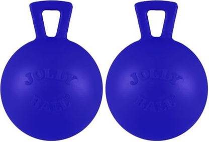 Jolly Pets Tug-n-Toss Heavy Duty Dog Toy Ball with Handle, 4 Inches/Petite, Blue (404 BL),Small Breeds (Pack of 2) by JollyPets