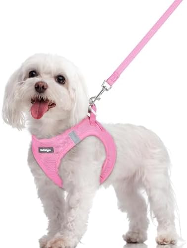 rabbitgoo Dog Harness Medium Sized and Leash Set, Step-in Puppy Pet Vest by rabbitgoo