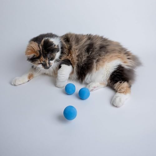 Rawry Foam Ball Cat Toy for Indoor Cats & Kittens,12 Pack, Blue - Image 3