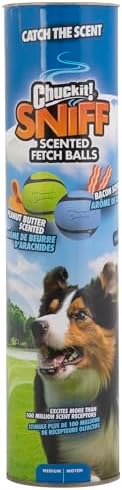 Chuckit! Sniff Fetch Balls Canister, 4 Pack, for Medium Dog Breeds by Chuckit