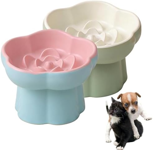 Ceramic Elevated Slow Feeder Cat Bowl,Anti Vomit Design for Whisker Fatigue Relief,Elevated Slow Feeder Bowls for Indoor Cats&Small Breeds,Perfect for Wet Food&Small Dogs (2, Green and Blue) by Unknown