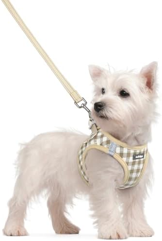 rabbitgoo Dog Harness Small Sized and Leash Set, Step-in Puppy Pet Vest by rabbitgoo