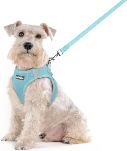 rabbitgoo Dog Harness Medium Sized and Leash Set, Step-in Puppy Pet Vest by rabbitgoo