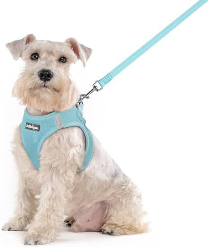 rabbitgoo Dog Harness Medium Sized and Leash Set, Step-in Puppy Pet Vest by rabbitgoo