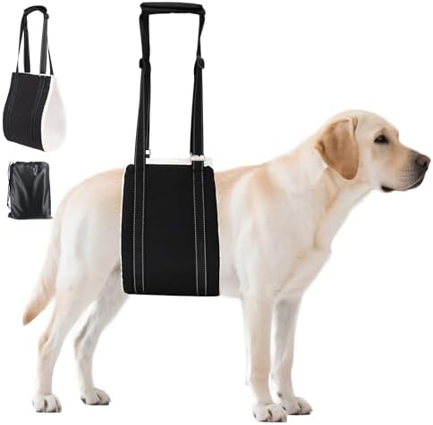 AIITLE Adjustable Dog Sling Dog Lift Harness Hind Leg Support, Black XL by AIITLE-FORPETSBETTERLIFE