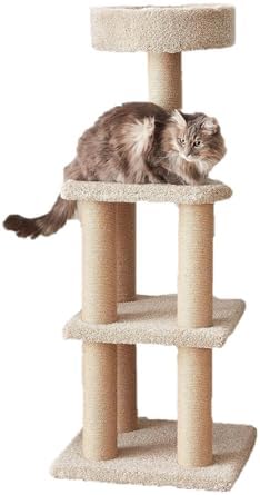 Amazon Basics Cat Tree Tower - Multi-Level Climbing Activity Center for Indoor Cats & Kittens with Scratching Posts, Platform, Jute Rope, Large (45.9"H), Beige by AmazonBasics