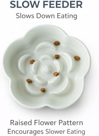 Ceramic Elevated Slow Feeder Cat Bowl, Raised and Gently Tilted Feeding Dish with Maze Design, Whisker-Friendly, Easy to Clean, for Indoor Cats and Small Dogs (Green/Ivory) - Image 4