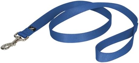 PetSafe Nylon Dog Leash - Strong, Durable, Traditional Style Leash with Easy to Use Bolt Snap - 1 in. x 4 ft., Royal Blue by PetSafe