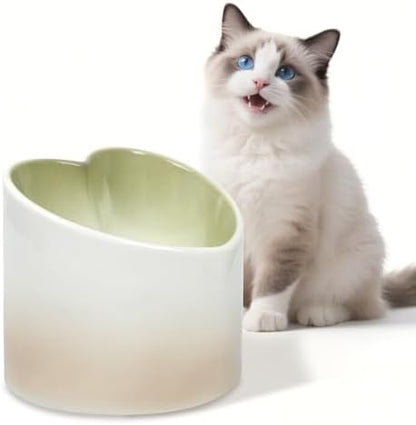 Ceramic Raised Cat Bowl Elevated Cat and Dog Bowls Whisker Friendly Tilted Elevated Cats Food Bowl Anti Vomit Pet Dish 4.72inches Height for Pet Easy Eating, Protect pet's Spine by PETVENTURE