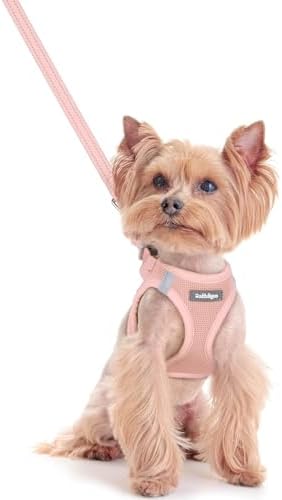rabbitgoo Dog Harness Small Sized and Leash Set, Step-in Puppy Pet Vest by rabbitgoo