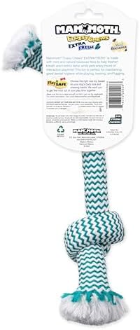 Mammoth Flossy Chews EXTRA FRESH 2 Knot Bone - Premium Cotton-Poly Yarn with Dental Floss Tug Toy for Dogs - Interactive Dog Rope Toy - Tug Dog Chew Toy for Medium Dogs - Large, 14” - Image 3