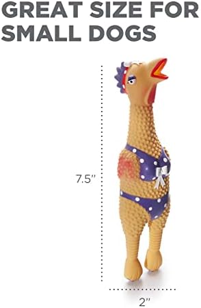 Outward Hound by Charming Pet Squawkers Henrietta Latex Squeaky Rubber Chicken Dog Toy, Funny Interactive Holiday Toy for Dogs, Small Size - Image 6