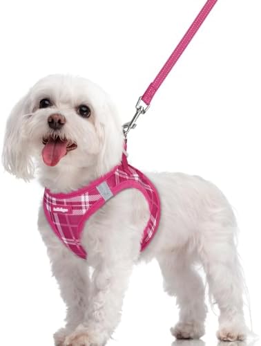 rabbitgoo Dog Harness Medium Sized and Leash Set, Step-in Puppy Pet Vest by rabbitgoo
