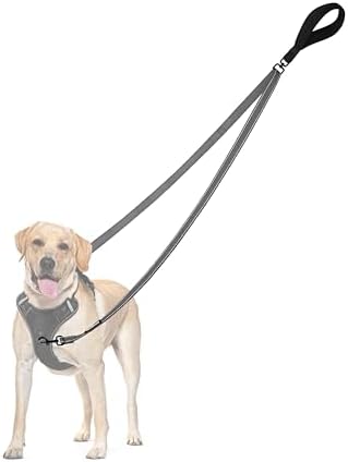 PetBonus Two Point Control Dog Leash, No Tangle Training Walking Leashes by Petbonus