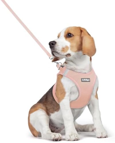 rabbitgoo Dog Harness Medium Sized and Leash Set, Step-in Puppy Pet Vest by rabbitgoo