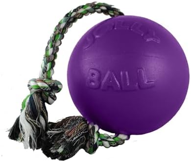 Jolly Pets Romp-n-Roll Dog Toy, Orange, 6", Model Number: 788169060645 - Image 5