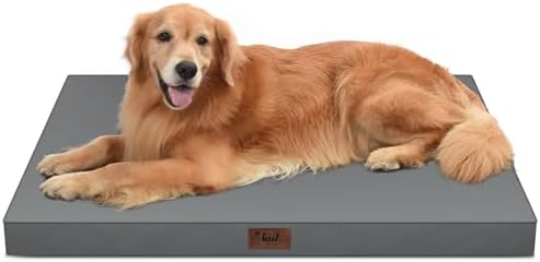 Waterproof Orthopedic Outdoor Dog Bed XL for Extra Large Dogs by TailStories