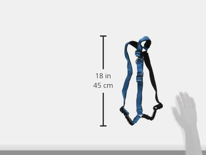 PetSafe Deluxe Easy Walk Harness - Trainer-Trusted Dog Chest Harness with Breathable Martingale Loop Design - Helps Stop Pulling with No Choking & Gagging - Large - Ocean