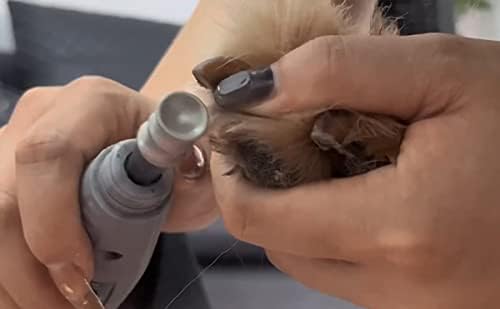 Dog Nail Grooming Tools - Dog Nail Grinder Attachment for Dremel - Diamond Rotary Nail Grinder Bits for Small Medium Dogs Cats and Animals (L) - Image 4