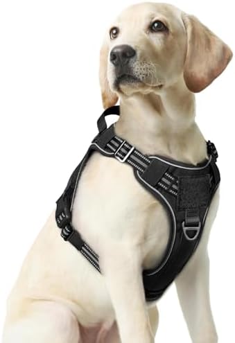 rabbitgoo Tactical Dog Harness Medium Sized, No Pull Service Pet Vest by rabbitgoo