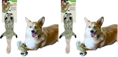 SPOT Skinneeez Raccoon 14 Inch Stuffing-Free Plush Dog Toy – Soft, Mess-Free Toy with One Squeaker for Small & Medium Dogs, Best for Light to Moderate Chewers (Pack of 2) by SPOT