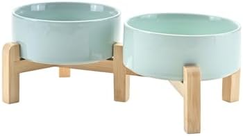 SPUNKYJUNKY Elevated Dog Bowls Ceramic, 5.1'' Dogs and Cat Food Water Bowls Raised with Non-Slip Bamboo Stand for Puppy Small Sized Breed Microwave Dishwasher Safe - 13.5 OZ,Light Green by SPUNKYJUNKY