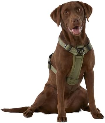 KONG Ultra Durable Waste Bag Harness (Medium, Green) - Image 2