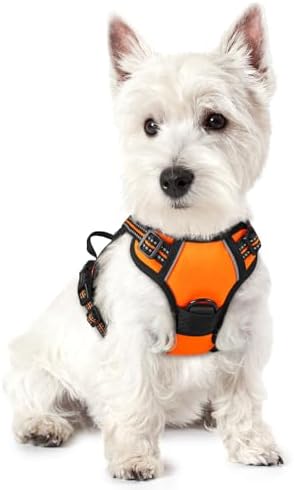 rabbitgoo Dog Harness No Pull with 2 Leash Clips, Adjustable Soft Padded, Reflective Oxford No Choke Pet Vest with Easy Control Handle for Puppy, Orange,XS by rabbitgoo