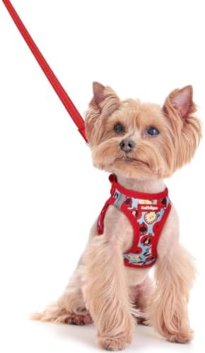 rabbitgoo Dog Harness Small Sized and Leash Set, Step-in Puppy Pet Vest by rabbitgoo