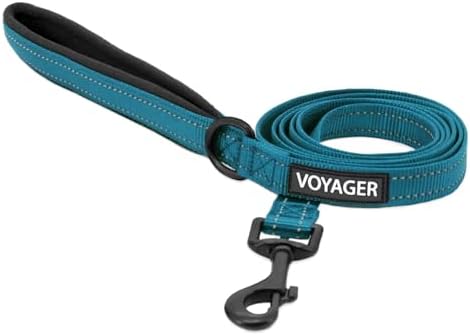 Best Pet Supplies Voyager Nylon Dog Leash - Turquoise, Small by BestPetSuppliesLLC