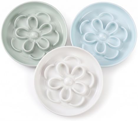 Melamine Cat Slow Feeder Bowl Set - Floral Maze Food Dishes for Cats and Small Dogs - Shallow Wide Plates for Dry & Wet Food - 3 Pack - White & Green & Blue by PTOBER