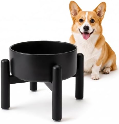 Raised Ceramic Dog Bowl Set with Stand, 2 Cups Elevated Dog Food Stand by PTOBER