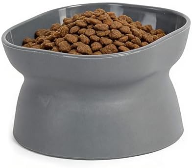 Cat Food Bowl,Cat Bowls for Indoor Cats,1 Count Grey Double-Sided Available by Unknown