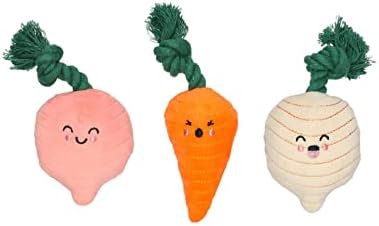 Pearhead Spring Garden Veggies Dog Toys, Plush Squeaky Rope Dog Toys by Pearhead