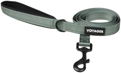 Best Pet Supplies Voyager Nylon Dog Leash - Moss Green, Medium by BestPetSuppliesLLC